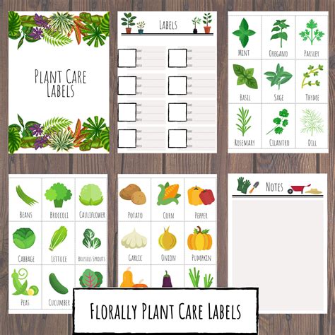 Printable Plant Label Template Organization