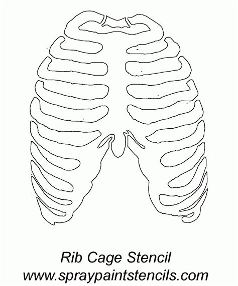 Printable Rib Cage Template