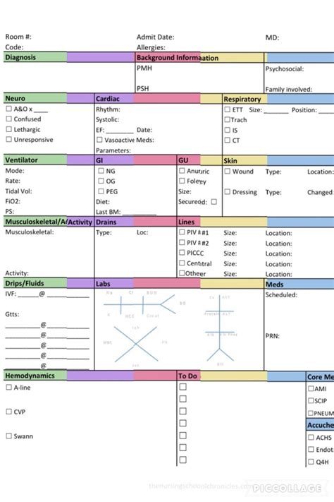 Procedural Checklists Nursing Brain Sheets