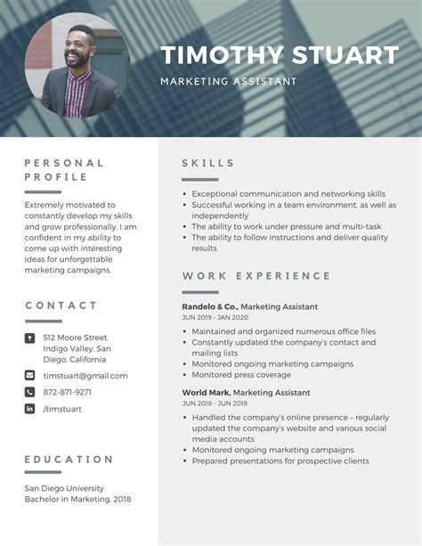 Professional Resume