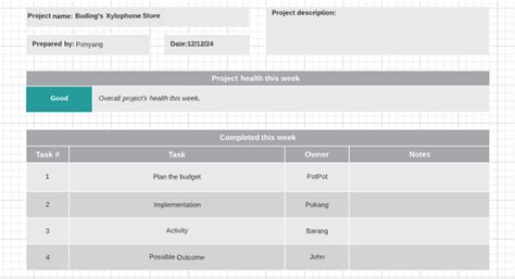 Project Status Report Example 9