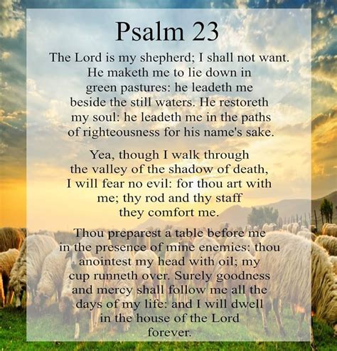 Introduction to Psalm 23