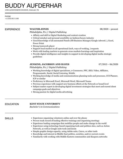 Publisher Career Resume