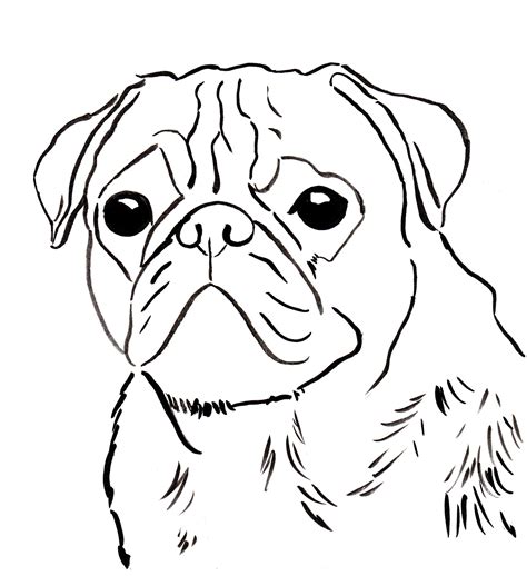 Inspiration for pug coloring pages and artwork