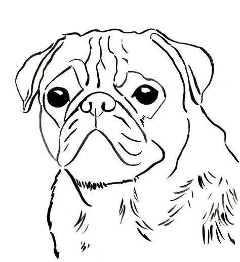 Pug coloring pages for adults