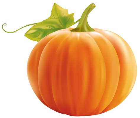 Description of Pumpkin Clipart for Educational Use