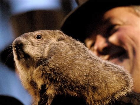 Punxsutawney Obituary Gallery 5