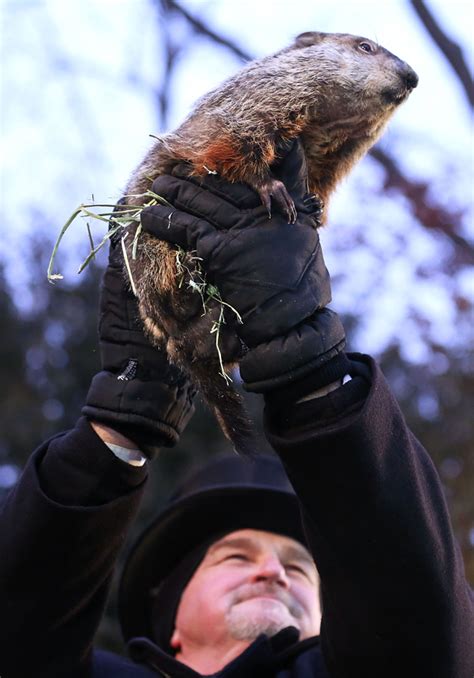 Punxsutawney Obituary Gallery 8