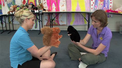 Therapeutic Use of Puppets