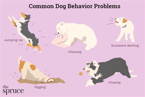 Puppy Behavioral Issues