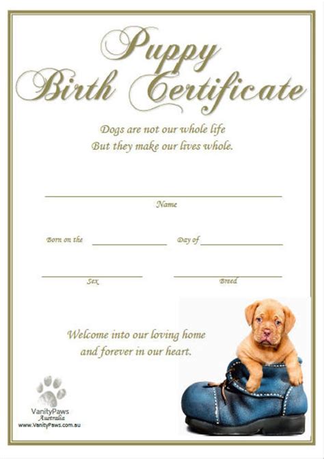 Puppy Birth Certificate Template Word