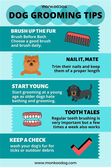 Puppy Grooming Tips