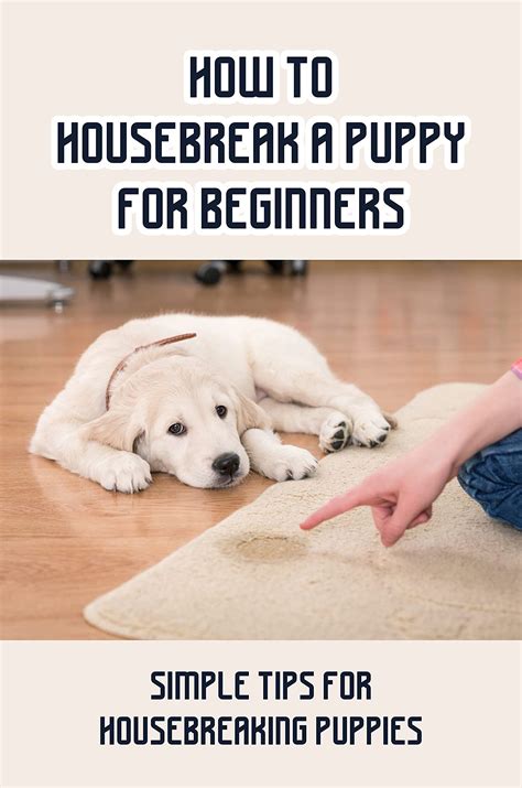 Puppy Housebreaking