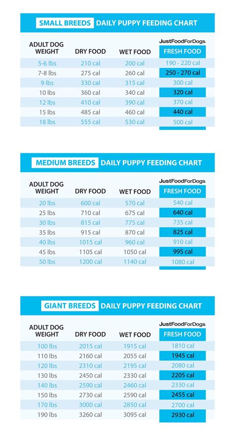 Puppy Nutrition