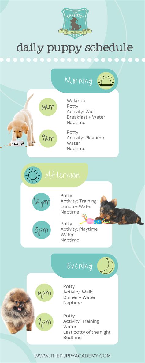 Puppy Schedule Template