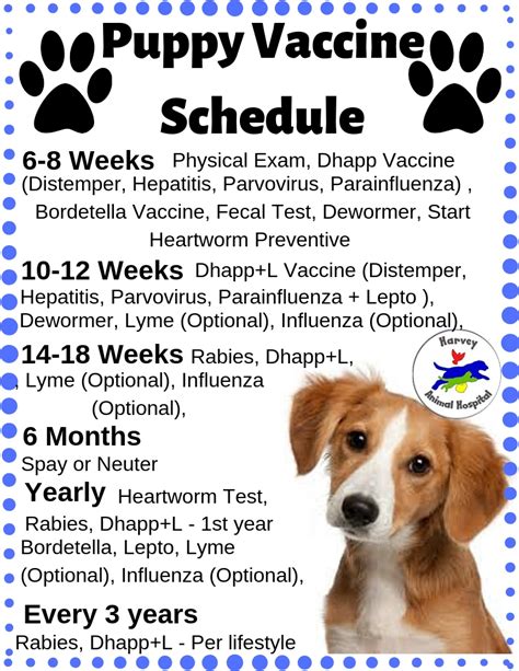 Puppy Shot Schedule Printable Guide