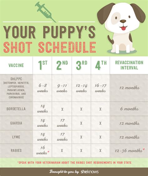 Puppy Shot Schedule