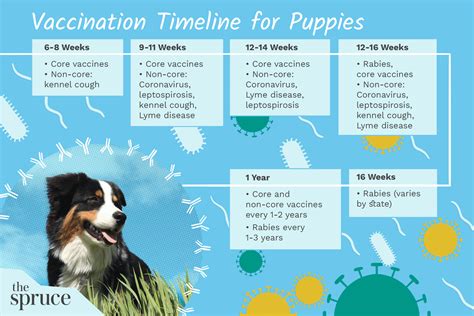 Puppy Vaccination Benefits