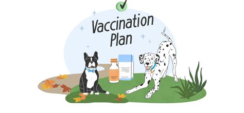 Puppy Vaccination Reminder