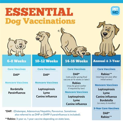 Puppy Vaccination Schedule Example