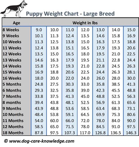 Puppy Weight Tip 5