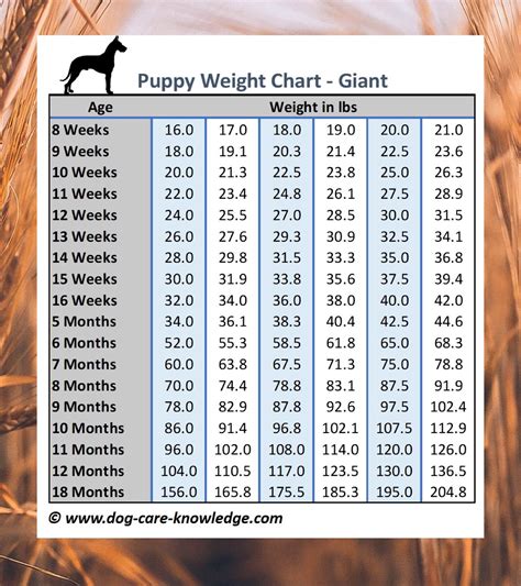 Puppy Weight Tips