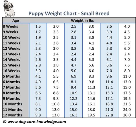 Puppy Weight