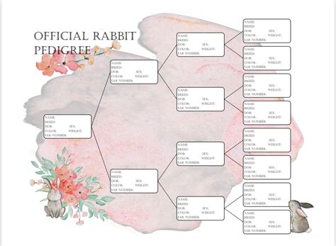 Rabbit Breeding Pedigree