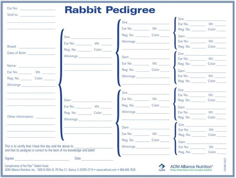 Rabbit Pedigree Template Download