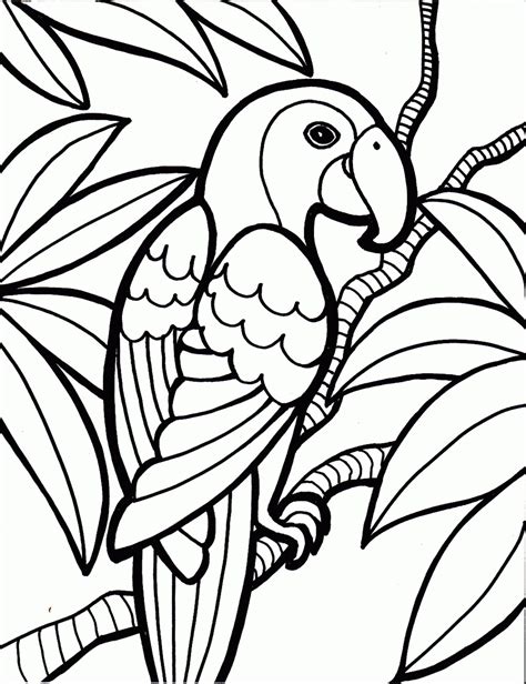 Rainforest coloring pages for kids to learn