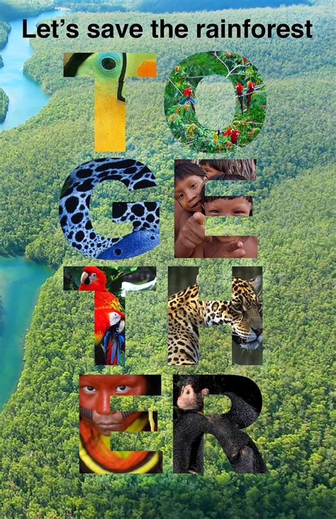 Rainforest conservation and awareness