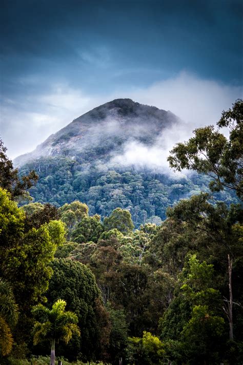 Rainforest mountain