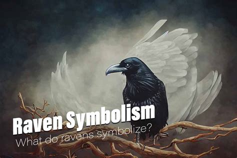 Raven Symbolism and Meanings