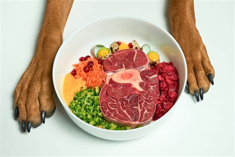 Raw pet food