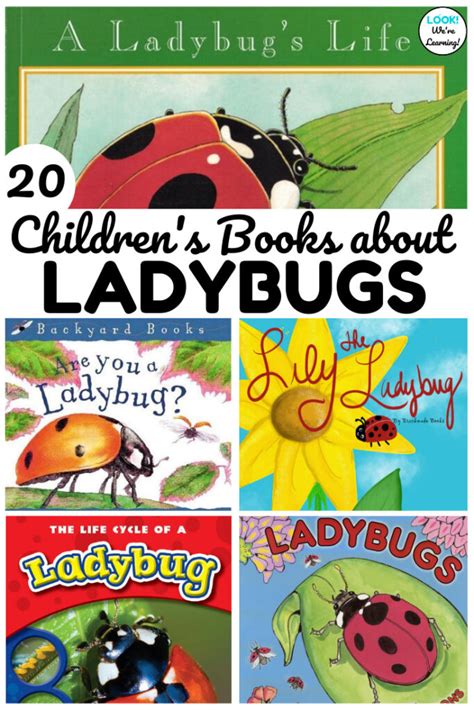 Reading ladybug books with children