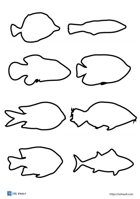 Realistic Fish Template