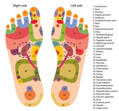 Reflexology Chart Examples