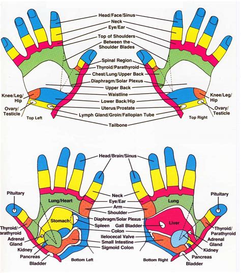 Reflexology Charts