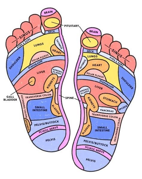 Reflexology Charts for Pain Relief