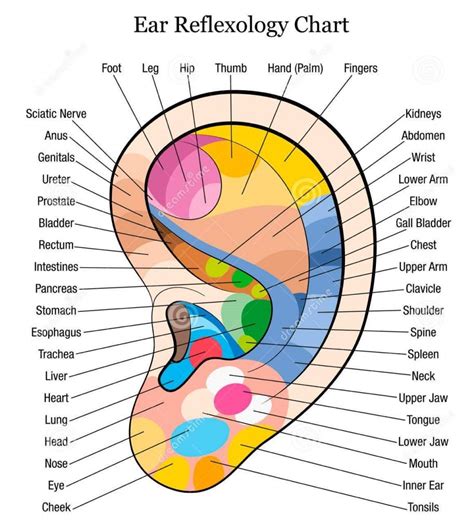 Reflexology Ear Massage