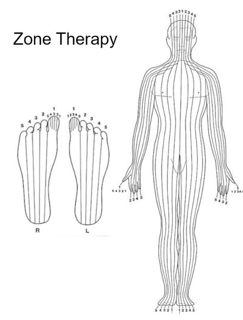 Reflexology Zone Therapy