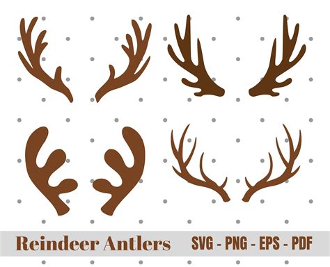 Reindeer Antlers Image 5