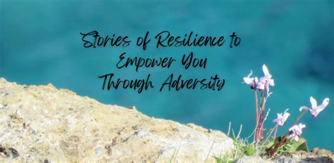 Description of resilience stories