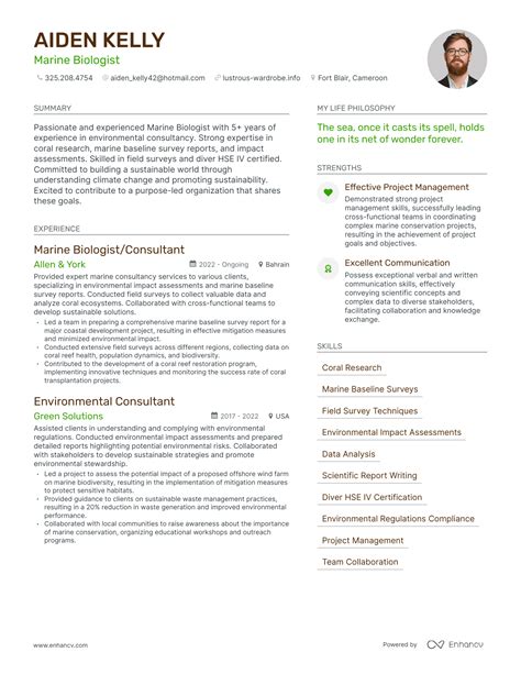 Different Example of a Resume