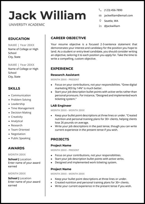 Resume Template Example 6