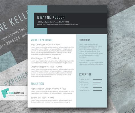 Resume Templates 2003