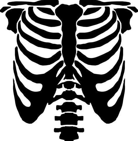 Rib Cage Templates