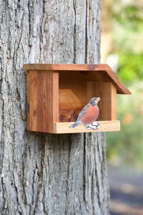 Robin Birdhouse