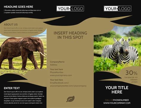 Safari Brochure Template