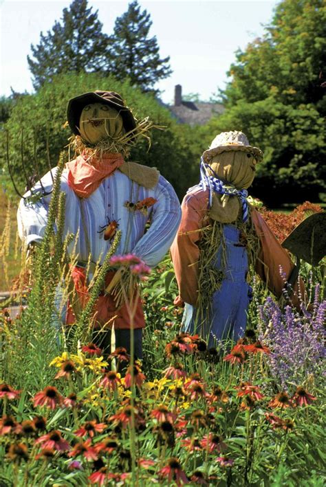 Scarecrow in a garden